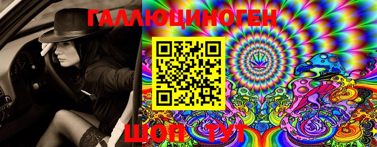Псилоцибиновые грибы Psilocybine cubensis  Вход с VPN  Каменка 
